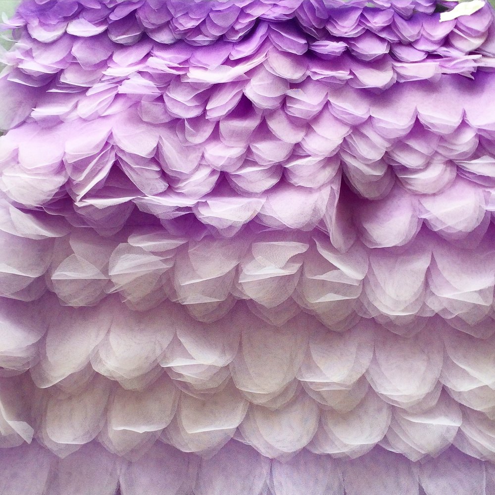 2eba1-photo27-05-20162c172324